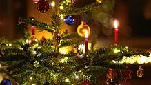 Hier könnte auch ein rot lackierter Kaktus stehen. Doch traditionell stellen sich viele Menschen zu Weihnachten lieber einen ...
