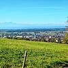 Der Blick auf Markdorf, vom Gehrenberghang aus. Was ist Heimat für die Menschen, die hier wohnen? Dieser Frage gehen im Gespräch mit ...