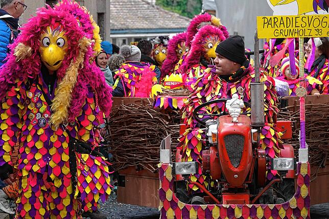 Bild 3: Bilder vom Fasnachtsumzug in Laufenburg
