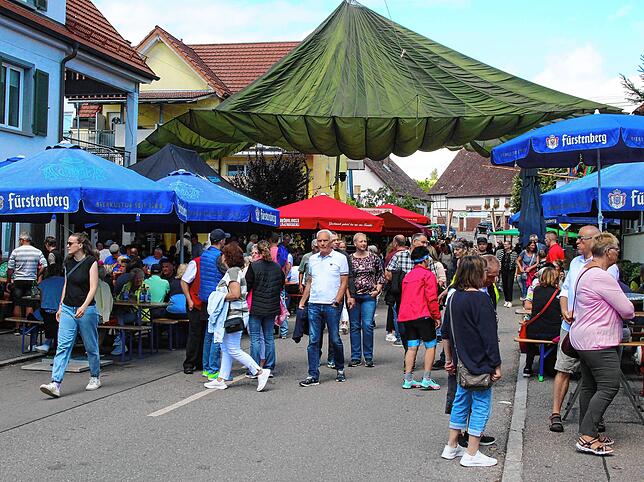 Bild 19: So schön war es auf dem Brunnenfest in Döggingen