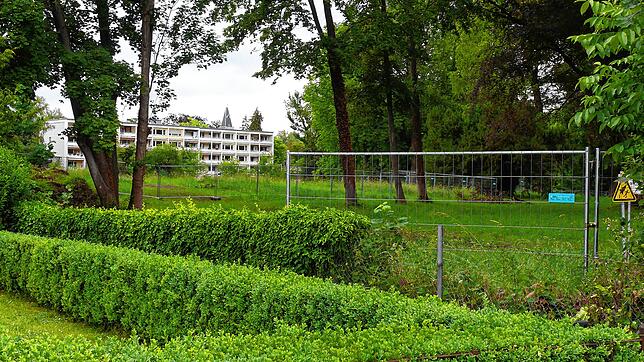Allzu viel Ausblick auf das Büdingen-Areal haben die Konstanzer im Moment nicht. An vielen Stellen ist das Gelände von Büschen umgeben, ...