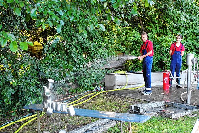 Bild 14: Bilderstory: Ein voller Erfolg war der vierte "Park in Flammen" in Ühlingen