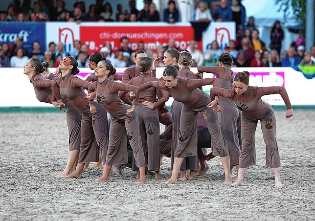 Bild 20: Zwischen Adrenalin und Tradition: Der spektakuläre Showabend beim Fest der Pferde auf den Immenhöfen