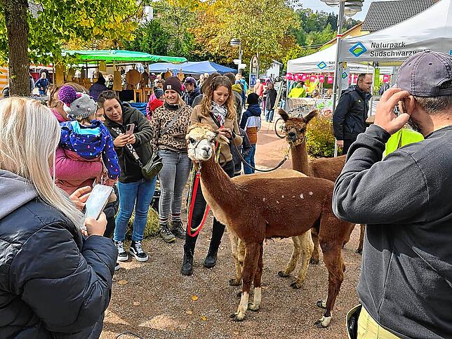 Bild 11: Regionales lockt auf den Mühlenplatz zum Naturparkmarkt