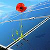 Solarstrom soll bald auch in Gottmadingen mehr Platz haben. Die Flächen sind benannt, die Befürchtungen von Landwirten berücksichtigt. ...