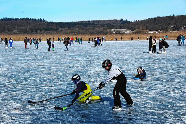 Bild 1: Das Eis ist da! Zahlreiche Kufen-Freunde waren am Sonntag zwischen Hegne und der Reichenau unterwegs. Die Kälte sorgte außerdem für tolle Eisskulpturen