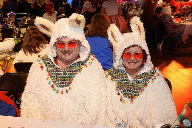 Bild 10: Bitte Platz nehmen! Kurz vor der Live-Übertragung der Konstanzer Fasnacht füllen sich die Reihen