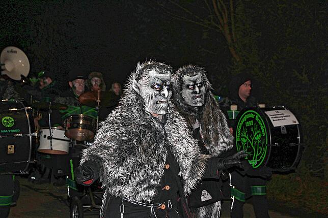Bild 12: Bilder vom Nachtumzug beim Kleggau-Narrentreffen am Samstag