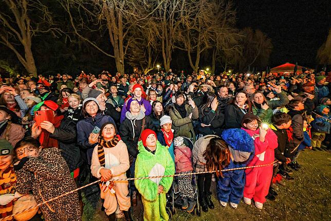 Bild 17: Bilder von der Fasnachtsverbrennung in Radolfzell