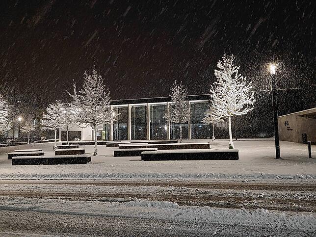Wie ein Gemälde sehen die schneebedeckten Bäume vor der Stadthalle Waldshut aus.
