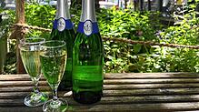 In Singen gibt es Alkoholverbotszonen, doch außerhalb dieser ist ein Gläschen Sekt am Nachmittag erlaubt, sofern man 16 Jahre oder älter ...