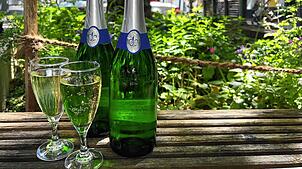 In Singen gibt es Alkoholverbotszonen, doch außerhalb dieser ist ein Gläschen Sekt am Nachmittag erlaubt, sofern man 16 Jahre oder älter ...