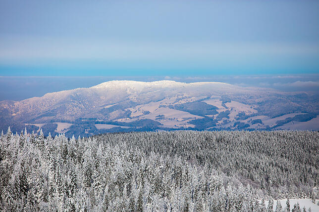 Bild 7: Blauer Himmel und ganz viel Schnee: Atemberaubende Aussichten im Winterwunderland Feldberg