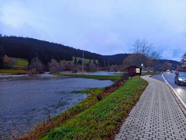 Dank freigehaltener Wiesen- und Auenflächen kann sich die Hochwasser führende Breg über ihre angestammten Ufer hinaus ausbreiten – ...