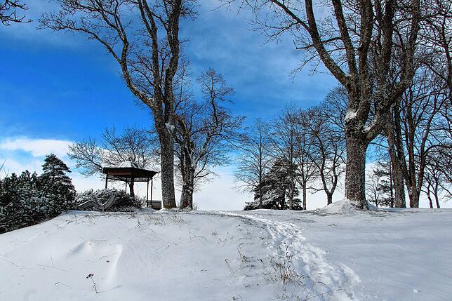 Bild 4: Der Winter hat zugeschlagen Teil 2