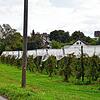 Im Süden von Bergheim soll ein Wohnquartier für rund 400 Menschen entstehen.