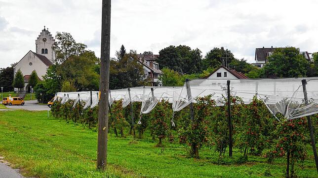Im Süden von Bergheim soll ein Wohnquartier für rund 400 Menschen entstehen.