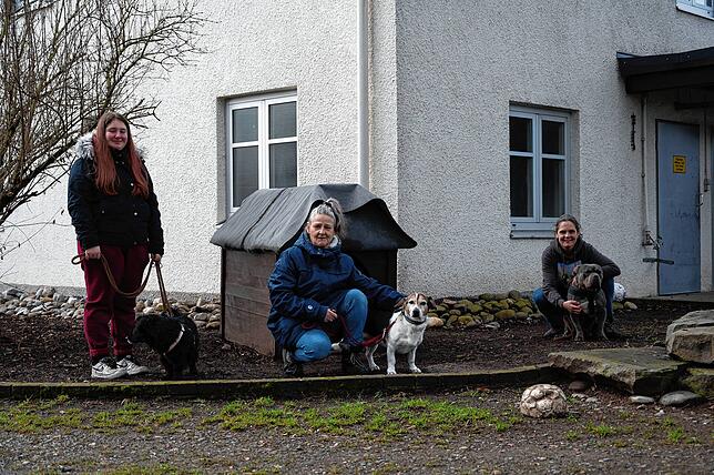 Ellen Bollmann (Praktikantin, links) mit Rudi, Regina Zietz (Mitarbeiterin, Mitte) mit Benji und Heidi Schätzle (Leiterin, rechts) mit ...