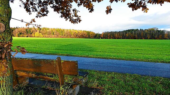 Von dieser Bank nahe der Ortschaft Bietingen blickt man in Zukunft auf eine Photovoltaik-Anlage. Diese reicht vom Weg bis zum Waldrand.
