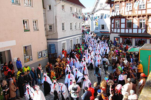 Bild 22: So schön war der Rosenmontag 2025 in Meßkirch