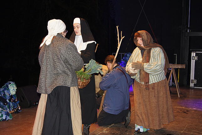Bild 10: Bildergalerie zum Ringtreffen des Alemannischen Narrenrings in Friedrichshafen