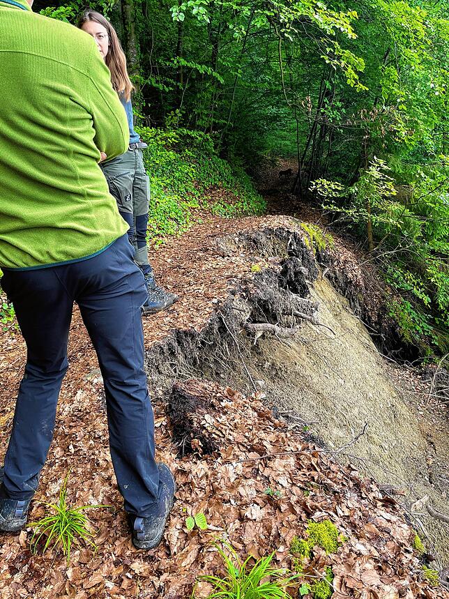 Am Uferweg zwischen Wallhausen und Marienschlucht-Anlegestelle gibt es zwei Probleme: entwurzelte Bäume, die Erde mitgerissen haben und ...