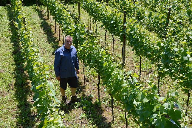 Alexander Drechsle 2019 in seinem am südlichsten gelegenen Weinberg.