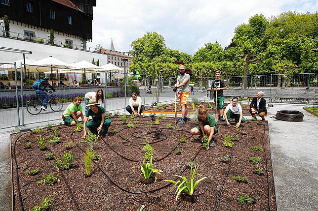 Auszubildende der Insel Mainau GmbH und der Technischen Betriebe Konstanz (TBK) bepflanzten im Mai 2019 die vier vorbereiteten ...