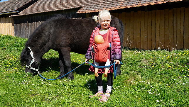 Das ist Betty! Das freche Pony ist gleich mal vom Sandplatz Richtung grüne Wiese gewetzt, Paula hat ziemlich gelacht.