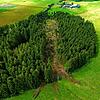 Vom Sturmschaden wie im Waldstück beim Kleintierzentrum Schabelhof bis hin zum Borkenkäferbefall oder auch Schäden durch Wildtiere ...