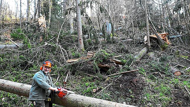 Auch der Gremmelsbacher Ortsvorsteher Helmut Finkbeiner ist entlang der Obertalstraße mit Aufräumen der Sturmschäden beschäftigt. Viele ...