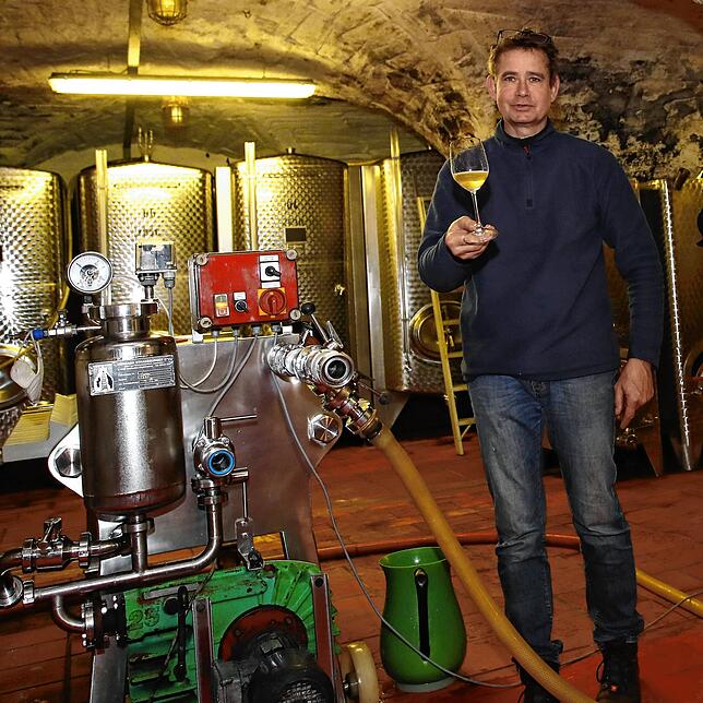 Bild 5: Ab in den Keller! Hier werden in Konstanz die Trauben in Wein verwandelt