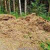 Dieser riesige Berg Stroh ist einfach im Wald abgeladen worden. Das Forstamt bringt den Fall zur Anzeige.