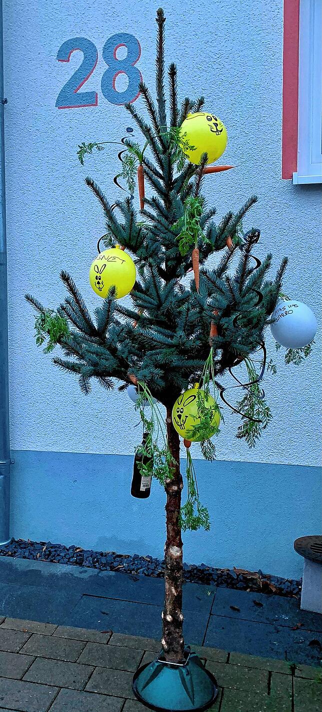 Als Mitglied der Narrenzunft Seehasen Ludwigshafen sendet Jannis Kaupert einen &bdquo;Hasenfutterbaum&ldquo;.