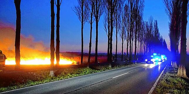 Die Feuerwehr war mit 50 Einsatzkräften und mehreren Fahrzeugen vor Ort.