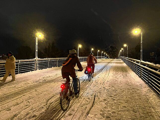 Bild 16: Hallo Winter! Die schönsten Bilder aus dem schneebedeckten Konstanz