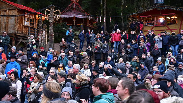 Bild : Das sagen die Besucher zum Triberger Weihnachtszauber
