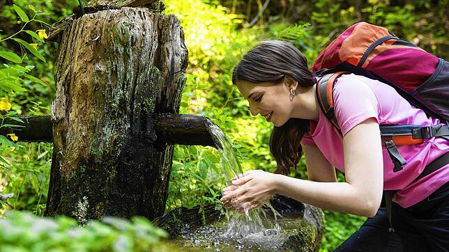 Eine dankbare Erfrischung im Biosphärengebiet Schwarzwald für SÜDKURIER-Mitarbeiterin Vanessa Rottig. Schmale Felsensteige und viele ...
