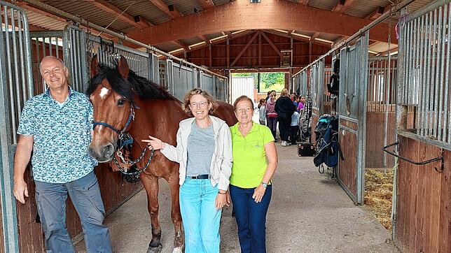 Der Reitverein Trab (Therapeutisches Reiten am Bodensee) möchte seine Reitanlage an der Litzelstetter Straße verkaufen, aber Pächter ...