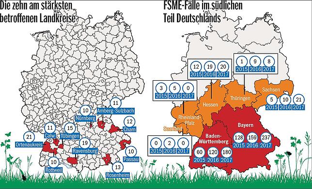 Bild 2: Hier lauern wieder die Zecken