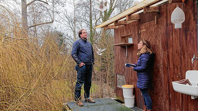 Taube im Anflug! Michael Begale im Gespräch mit SÜDKURIER-Mitarbeiterin Nicole Burkhart über seine Leidenschaft Brieftauben.