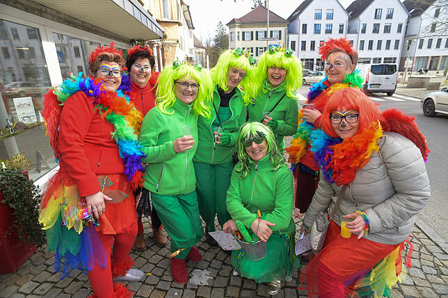 Bild 11: Bilder vom Schmotzigen Dunnschdig in Meßkirch