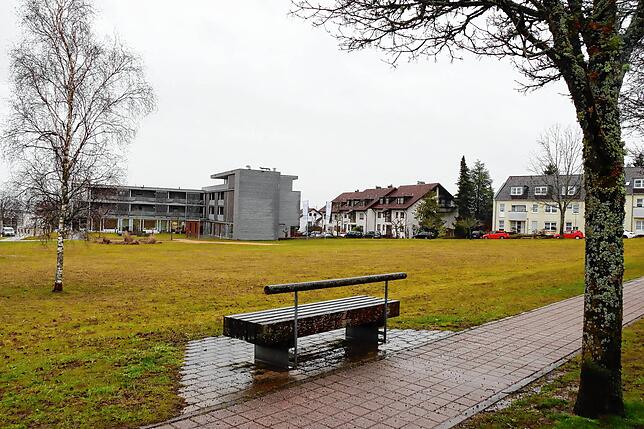 Auf dieser Grünfläche in der Ortsmitte Mönchweilers, neben dem Bürgerpark und dem Wohnpark im Hintergrund, möchte Bürgermeister Rudolf ...