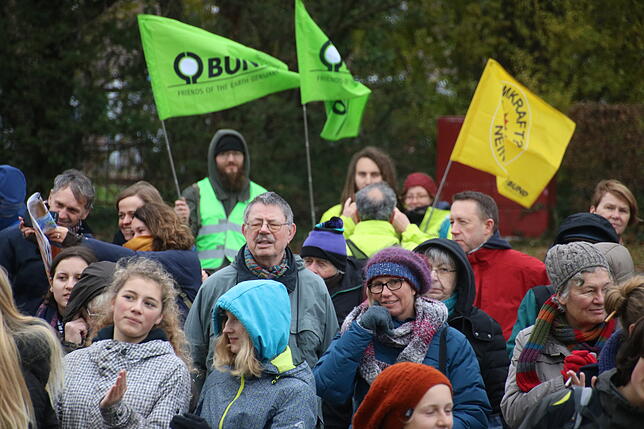 Bild 4: Fridays-for-Future geht in die nächste Runde: Bilder und Videos von der Demonstration in Radolfzell