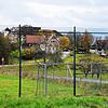 Auf dem Sportplatz, durch dessen Zaun man hier aus dieser Perspektive auf Schloss Hohenfels blickt, soll ein Kultur- und ...