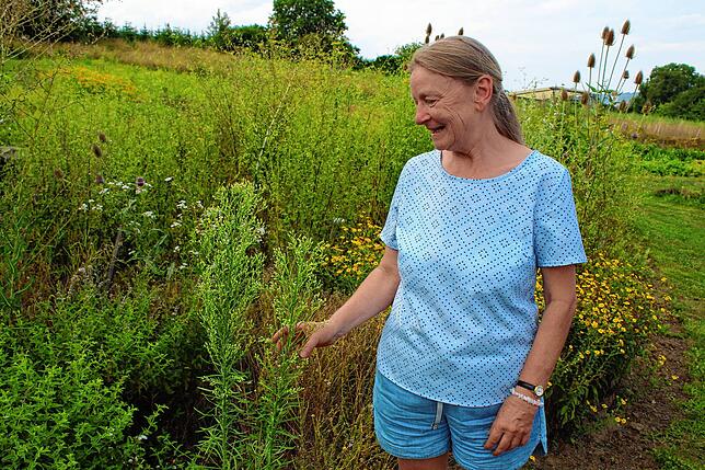Beate Gewinner kümmert sich im Sortengarten um das Kräuterbeet. Bei ihr haben auch bei Hobbygärtnern nicht immer gern gesehene ...