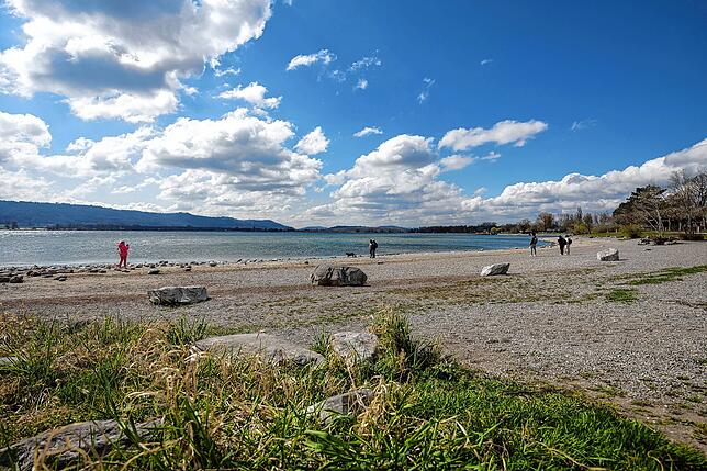 Spaziergang fast im See: Wo normalerweise schon der Bodensee beginnt, können hier im Markelfingen die Menschen Spazieren gehen.