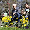 Noch blüht es gelb in den Beeten der Stadt: Eine neue Blumenmischung soll die Grünflächen der Doppelstadt künftig um die Farben des ...