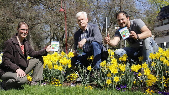 Noch blüht es gelb in den Beeten der Stadt: Eine neue Blumenmischung soll die Grünflächen der Doppelstadt künftig um die Farben des ...