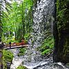 Rund um St. Blasien gibt es viele interessante Wanderziele, wie etwa hier die Wasserfälle in Menzenschwand.
